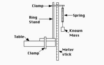 hooke's law experiment